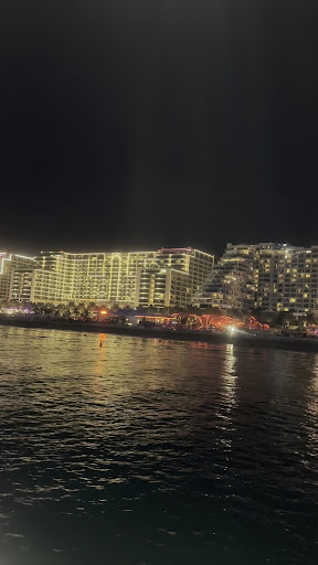 Photo from customer review