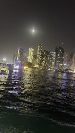 Photo from customer review